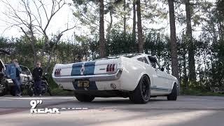 A Shelby GT350 Screaming Through the Canyons