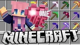 Pickaxe Collector Challenge | Ep. 17 | Minecraft One Life 2.0