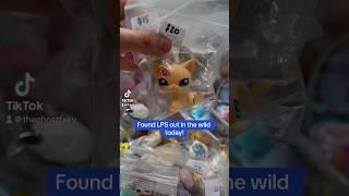 Finding LPS Out In The Wild #littlestpetshop #lps #lpscommunity #toycollector #toycollection #toys