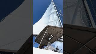 We are sailing on a catamaran #shortvideo #shortsvideo #shorts #short