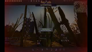 BDO | Sorceress vs Warrior