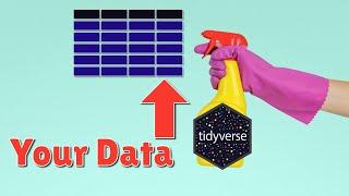 Data Cleaning with the tidyverse (by Statistics Globe)