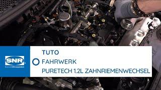 TUTORIAL: Zahnriemenwechsel bei einem Puretech 1,2l Motor
