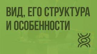 Вид, его структура и особенности. Видеоурок по биологии 9 класс