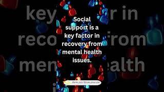 Sociology of Mental Health - Subfields in Sociology