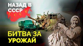 Дефицит самых важных продуктов, колхозы и совхозы, битва за урожай. Назад в СССР