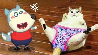 How Funny !! Little Cat vs Wolfoo Animation  Wolfoo in Real Life ! Funniest Cats And Dogs Videos