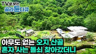 올 여름 멀리 갈 필요없다. 오지 산골에서 잘 해먹고 사는 사람들｜️한국 여름 비경 베스트️1시간 몰아보기｜한국기행｜#tv로보는골라듄다큐