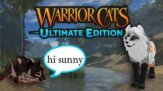 IF I GET RECOGNIZED THE VIDEO ENDS.. |Warrior Cats: Ultimate Edition