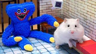 Hamster Prison Maze Adventure: The Great Escape 2024!