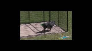 Square Ultimate Wire Dog Kennel