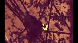 Rain World - Daddy long leg eats after death