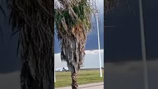 #funny  # creative #travel #aviation #creativeconfidence #shortsvideo