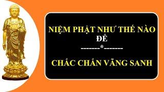 Niệm Phật như thế nào để chắc chắn được Vãng Sanh.| Tuệ Tâm.