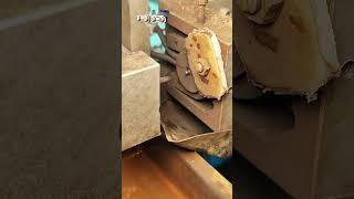 Chainsaw Chain Rivet Manufacturing: Using the Same High-Quality Materials as STIHL and OREGON