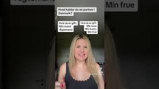 Hvad kalder man en partner i Danmark?