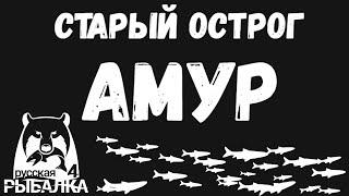 Где и на что клюет амур? Смотри самые лучшие точки старого острога. Русская рыбалка 4.