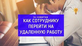 14 советов сотрудникам во время карантина или как перейти на удаленку