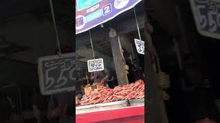 Buying | chicken | from | shop #viral #shortvideo #shortsvideo #shorts #short #viral #viral #viral