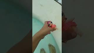 minha rotina da tarde indo na piscina  comente ideias de video de roblox que vcs querem