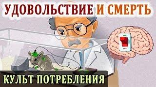 Как Удовольствия и Наслаждения Уничтожают. Культ Потребления