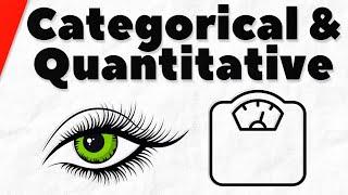 Categorical and Quantitative Variables | Statistics