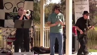The Amalgamated: Henluila, at Ramona Music Fest 2010