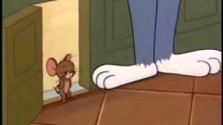 Tom&Jerry (Лезгинка)