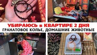 УБИРАЮСЬ в КВАРТИРЕ 2 ДНЯ МОТИВАЦИЯ на УБОРКУ в ОДНУШКЕ  ДОМАШНИЕ ЖИВОТНЫЕ  ГРАНАТОВОЕ КОЛЬЕ 