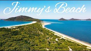 Reflections Jimmys Beach Holiday & Caravan Park Hawks Nest NSW, Caravan Park Review, Pet Friendly