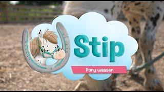 Pony wassen met Stip de Pony!