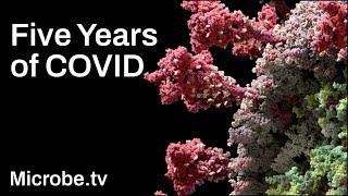 Five Years of COVID