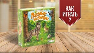 ЛЕСНЫЕ ИСТОРИИ: Настольная игра для всей семьи