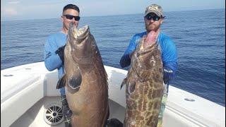 Diving sw Florida Gulf of Mexico 150ft deep. 80 and 55 pound carbos (Black grouper)