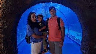 4K - UAE - Abu Dhabi National Aquarium - Ակվարիում - Գներ - Liana Welch Vlog