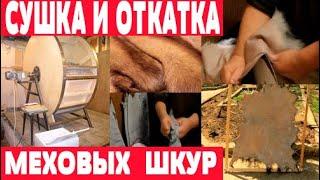 Сушка и отделка меховых шкур. Откатка шкур в барабане. mp4