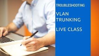 VLAN and Trunk Troubleshooting Live Session excerpt