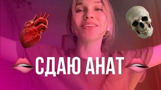 СДАЮ АНАТ/ secha edition