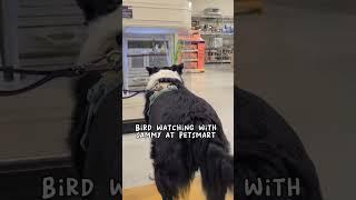 Sammy's favorite PetSmart exhibit 
