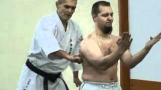 Sanchin kitae Shohei ryu / Uechi ryu kei Russia