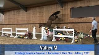 Valley M (jumping)