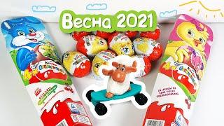 Kinder Surprise EASTER 2021 Fitte Frühlingsflitzer