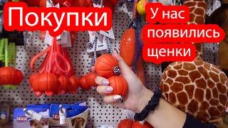 Покупки в зоомагазине