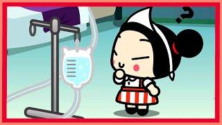 What jobs has Pucca done?