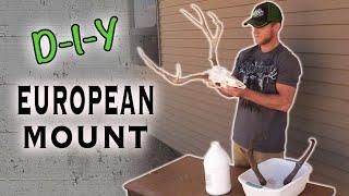 Skull Cleaning - Do-It-Yourself Big Game European Mount (How to)