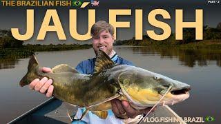 Giant Jaú Catfish in Brazil’s Wild Rivers – Ultimate Fishing in Mato Grosso! A monster fish - PART2