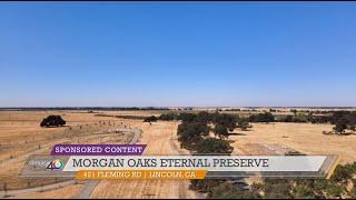 Morgan Oaks Eternal Preserve