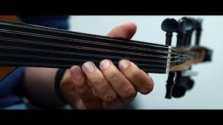 Arabic Oud Solo Taksim Re Saba Maqam Hesham Hamra 4k 2020