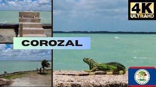 Discovering Corozal, Belize | 4K Breathtaking Walk