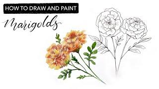 Watercolour Marigolds - How To Draw And Paint OCTOBER'S Birth Month Flower